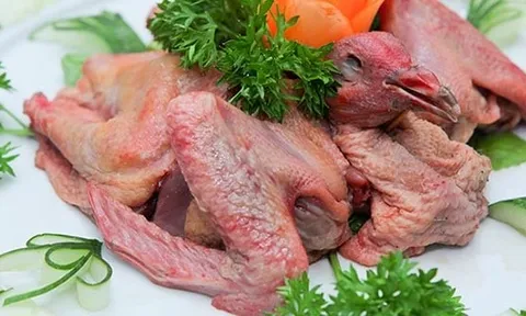 Vì sao thịt chim bồ câu phải dìm trong nước, xào rau răm?