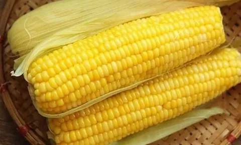 Luộc ngô không cần cho đường, thêm thìa gia vị này ngô ngon ngọt hơn nhiều, giờ mới biết vẫn chưa muộn