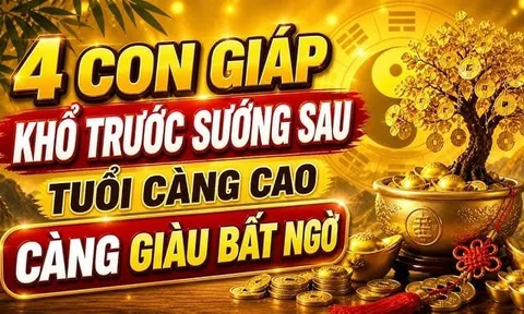 4 con giáp Khổ Trước Tiền Nối Bước đến sau, về già mới hưởng