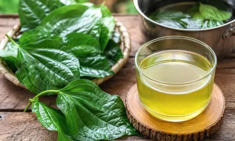 Cách nấu nước lá lốt để mang lại nhiều công dụng cho sức khoẻ