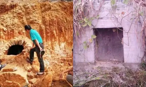 Khai quật mộ cổ 500 năm ở Tứ Xuyên, chuyên gia bất ngờ phát hiện sinh vật sống bí ẩn bên trong