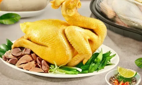 Bộ phận nào trong con gà được ví là "tổ yến của người nghèo", tiếc rằng nhiều người hay vứt bỏ?