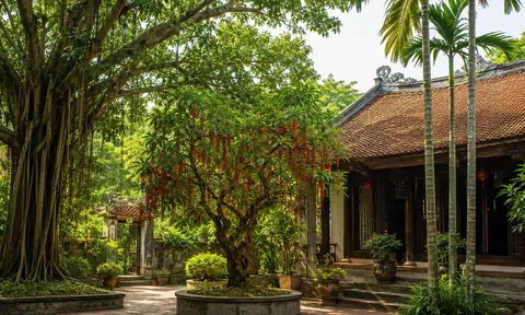 Người xưa dặn: 3 loại cây trong nhà đừng tự ý chặt, nhiều người chặt nhầm dễ “đứt” tài lộc