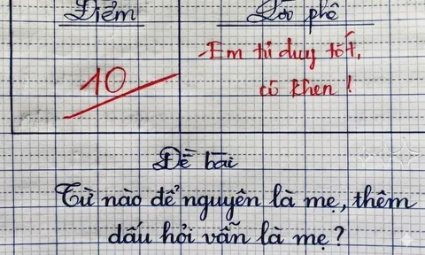 Một từ có nghĩa là “mẹ”, thêm dấu hỏi vẫn là “mẹ”: Nhiều người đoán sai