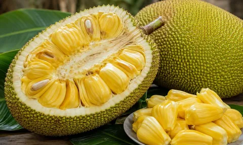 Mua mít đừng chọn theo cảm tính: 5 dấu hiệu nhận biết quả mít chín vàng thơm ngọt