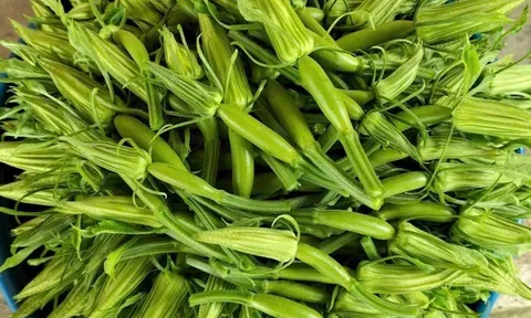 Loại quả được ví “nhân sâm của người nghèo”, giàu canxi lại bổ xương dưỡng ruột, giá chỉ từ 25.000 đồng/kg