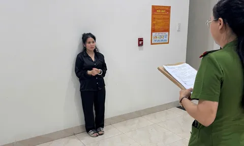 Bắt người vợ xúi giục 2 con riêng sát hại cha ruột, vụ án gây rúng động