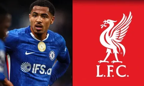 Liverpool tăm tia Levi Colwill thay thế Virgil van Dijk