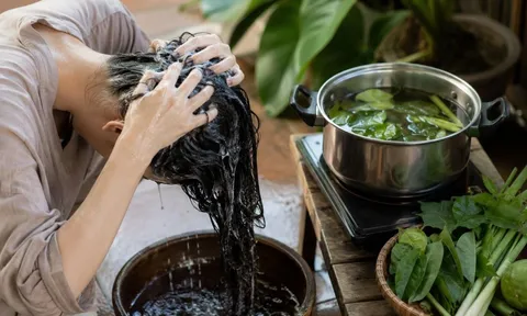5 loại lá quen thuộc dùng gội đầu giúp tóc mượt không khô, giảm rụng