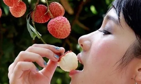 5 nhóm người tuyệt đối không nên ăn vải mùa hè, nhiều người vẫn chủ quan