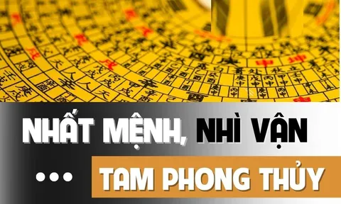 Nuôi dưỡng được 4 loại phong thủy này, con cái đỗ đạt làm quan, hưng thịnh 3 đời