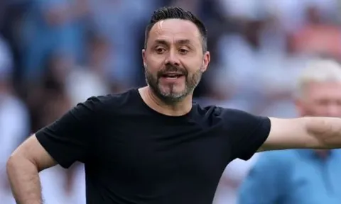 De Zerbi thúc giục Tottenham mua đứt Palhinha