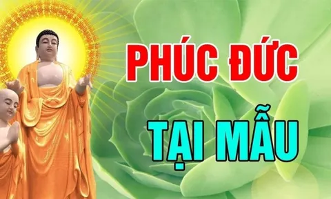 3 kiểu cha mẹ để ại phúo báo cho con: Đó là kiểu nào?