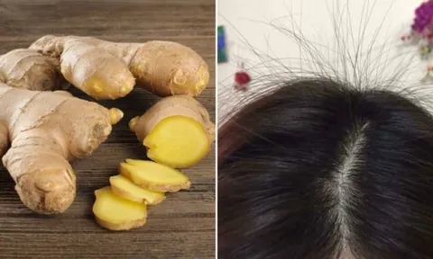 Cách gội đầu bằng gừng tươi trị rụng tóc, tóc con mọc lên tua tủa