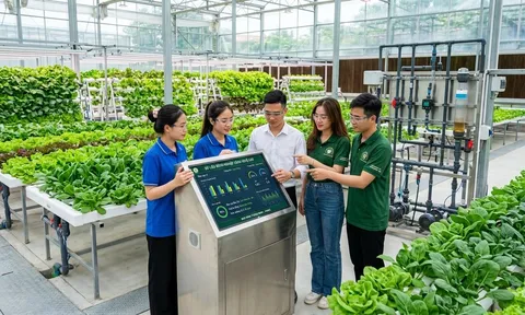 5 ngành học đang “khát” nhân lực tại Việt Nam: Ra trường dễ có việc, thu nhập nhiều người mơ ước
