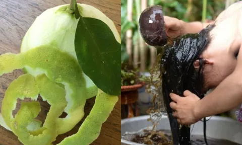 Cách gội đầu bằng vỏ bưởi trị rụng tóc, kích thích tóc mọc nhanh lại suôn mượt, sạch gàu