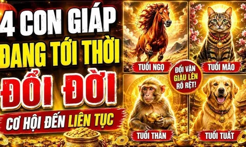 4 con giáp tới thời Đổi Đời Liên Tục, 2 năm tới tiền về khó cản