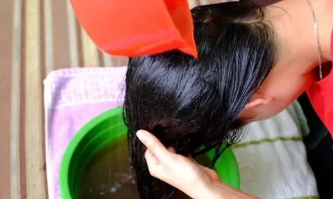 3 loại lá gội đầu hết gàu, tóc bóng mượt