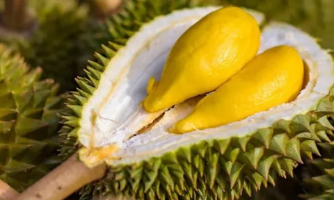 Người mắc 1 trong 5 bệnh này tuyệt đối không nên ăn sầu riêng