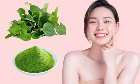 Rau diếp cá có thực sự tốt cho da mụn? Cách dùng đúng để hỗ trợ da sạch và dịu hơn