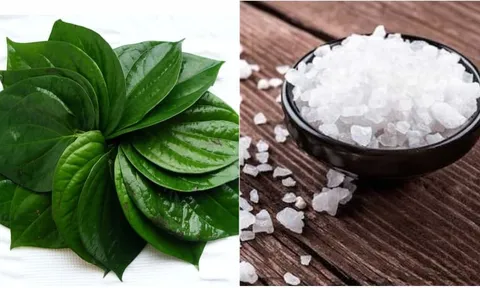 8 công dụng ít người biết từ lá trầu không: Điều thứ 2 ai cũng muốn thử một lần