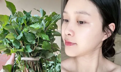 Cách dùng rau diếp cá thu nhỏ lỗ chân lông, da trắng hồng, mờ thâm