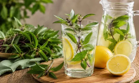 Cách giải độc gan bằng nước húng quế kết hợp chanh tươi, dùng sao cho đúng?