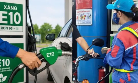 Hầu hết xe ở Việt Nam dùng được xăng E10, còn xe không tương thích thì làm sao?