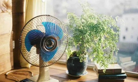 Vì sao nên quay quạt ra cửa vào mùa hè?