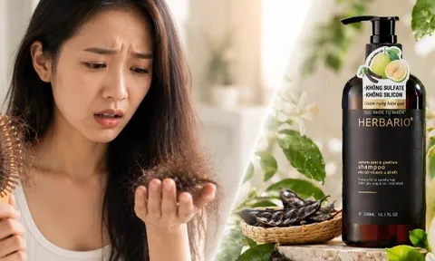 Tóc “kêu cứu”: Những dấu hiệu cho thấy bạn cần chuyển sang dầu gội thuần chay không silicon ngay lập tức