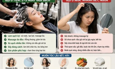 Vì sao gội đầu ở tiệm để 3 ngày vẫn sạch, gội ở nhà lại nhanh bết ngứa?