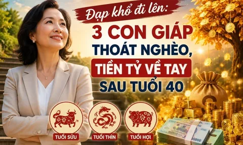 Đạp khổ đi lên: 3 con giáp thoát nghèo, tiền Tỷ về tay sau tuổi 40