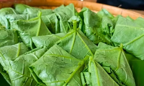 Món xưa "nhà nghèo" ăn đến chán ngán, nay thành đặc sản khoái khẩu trong nhà hàng, hương vị đặc biệt