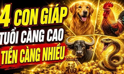 4 con giáp tuổi càng cao Tiền càng nhiều, số 1 thêm Lộc từ con cái
