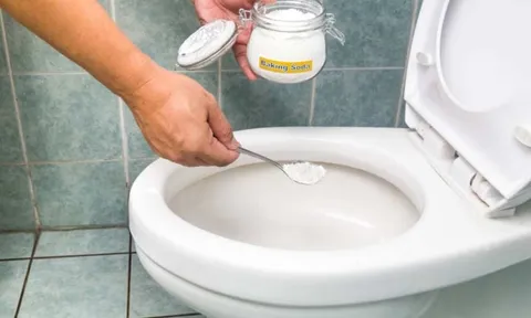 Cách khử mùi bồn cầu chỉ với 1 nguyên liệu nhà nào cũng có trong bếp