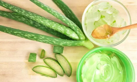 Đánh bay vết thâm mụn, khôi phục làn da sáng mịn chỉ với nha đam