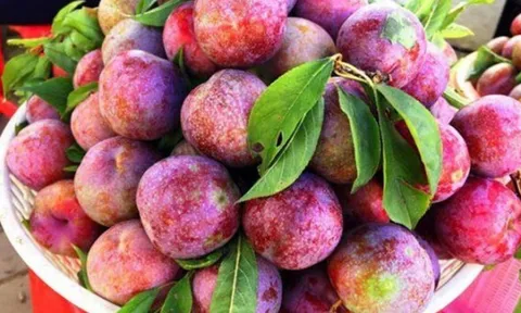 Những người nên hạn chế ăn quả mận