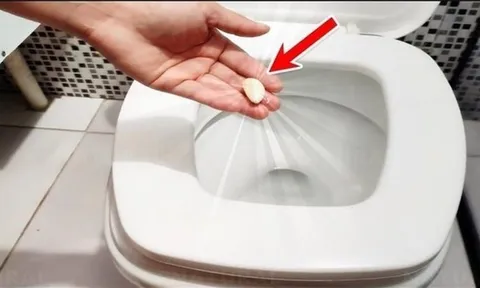 Vì sao nên bỏ một tép tỏi vào bồn cầu trước khi đi ngủ?