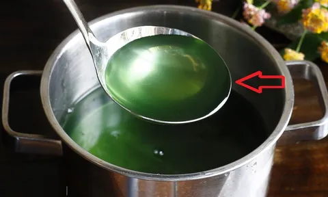 Vì sao nước luộc rau chuyển sang màu xanh đậm? Có ăn được không?