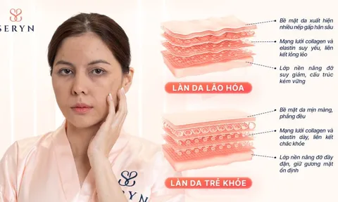 Trẻ hóa mãi không hiệu quả: Bạn có đang bỏ qua tầng lão hóa quan trọng nhất?