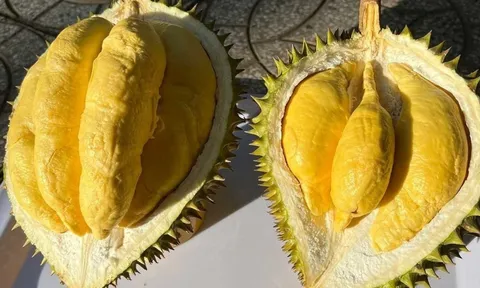 5 người tuyệt đối không nên ăn sầu riêng: Dù chỉ ăn 1 miếng thôi cũng hại