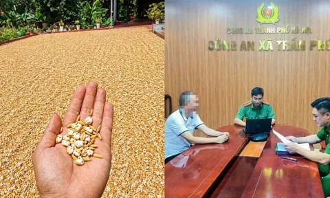 Bị phạt 7,5 triệu đồng vì đăng ảnh chế thóc phơi ngoài trời nổ thành bỏng