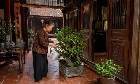 Đặt 1 thứ này trong nhà: Giữ không khí thoáng mát, không cần điều hòa