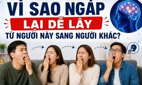 Vì sao ngáp lại dễ lây từ người này sang người khác?