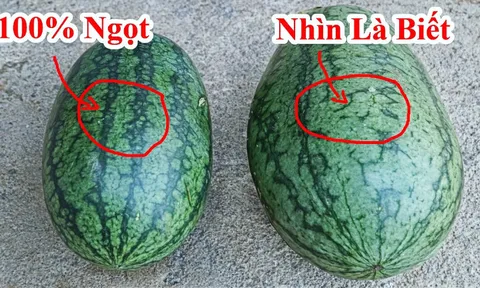 Vì sao khi mua dưa hấu người ta hay vỗ vào thân vỏ?