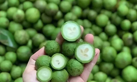 Loại quả đang vào mùa nhiều chị em thích mê, xóc muối - ngâm đường đều ngon nhưng dễ phạm 2 điều cấm kỵ khi dùng