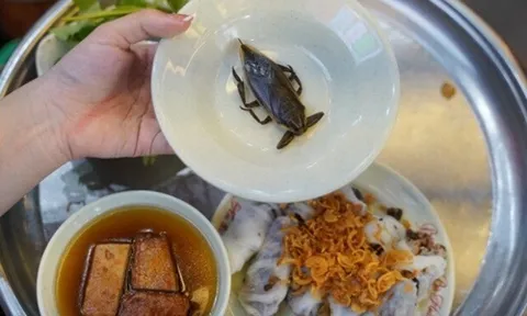 Đi tìm 3 hàng bánh cuốn lâu đời giữa lòng Hà Nội: 2 quán được Michelin vinh danh, ngày bán hết veo cả nghìn suất