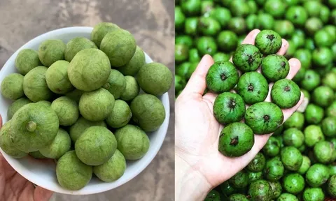 Mẹo bảo quản sâu tươi, để cả năm vẫn giữ nguyên hương vị, ngon như mới mua