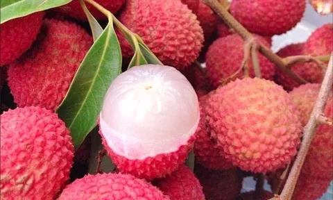 Mẹo bảo quản vải thiều cả tháng vẫn tươi ngon, không bị thâm vỏ hay chảy nước