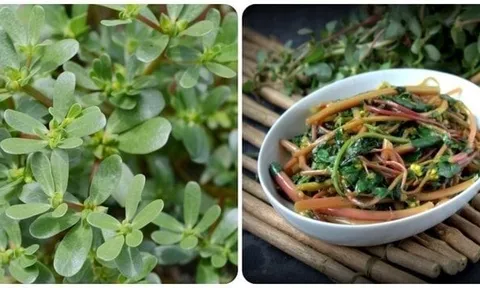 4 loại rau củ mùa hè vừa ngon vừa sạch: Giá rẻ nhưng dinh dưỡng cực cao, không lo thuốc trừ sâu